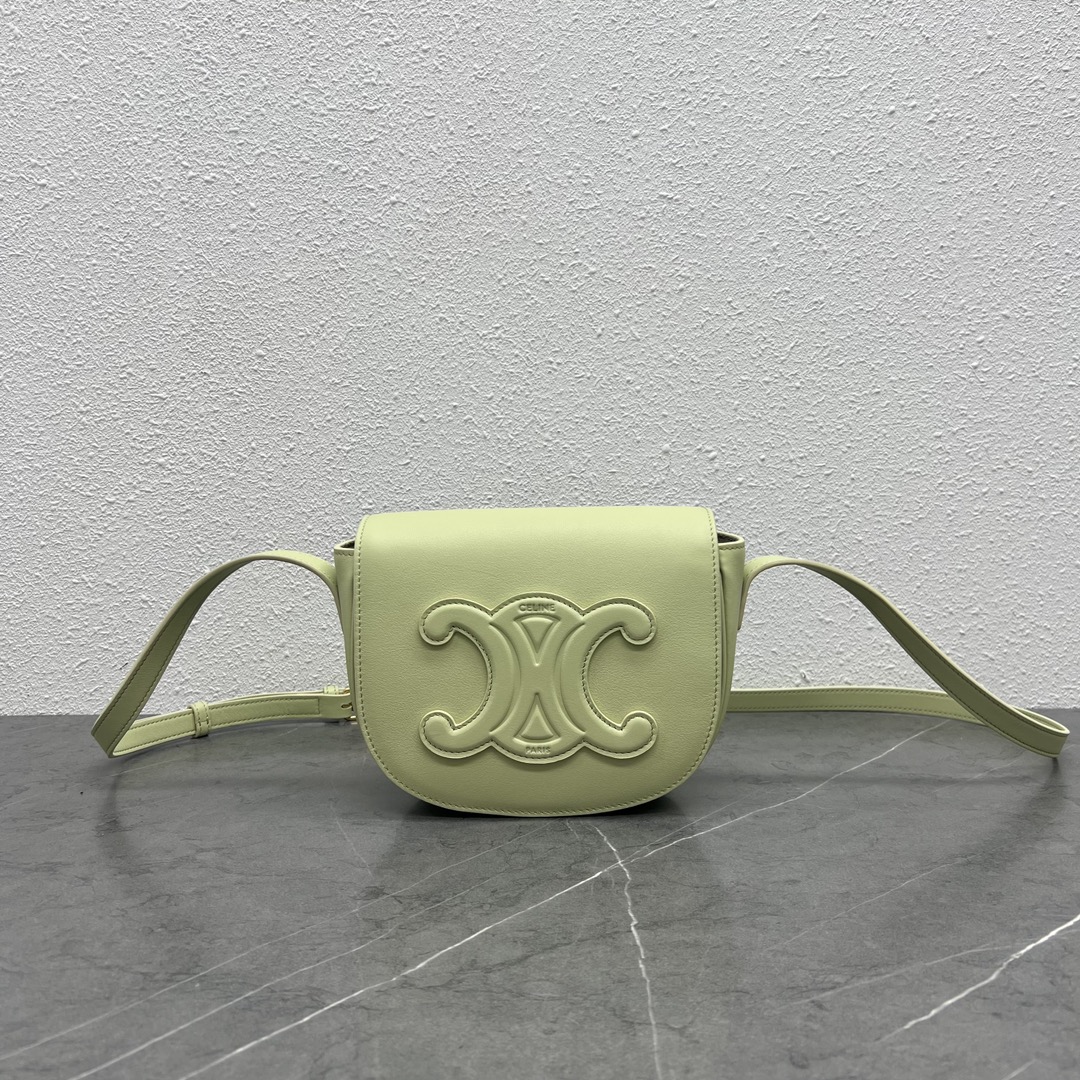 Celine Folco Cuir Bag Triomphe In Smooth Calfskin Light Green 198263